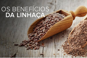 Benefícios da linhaça